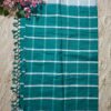 Aqua Blue Plain Panchi Saree